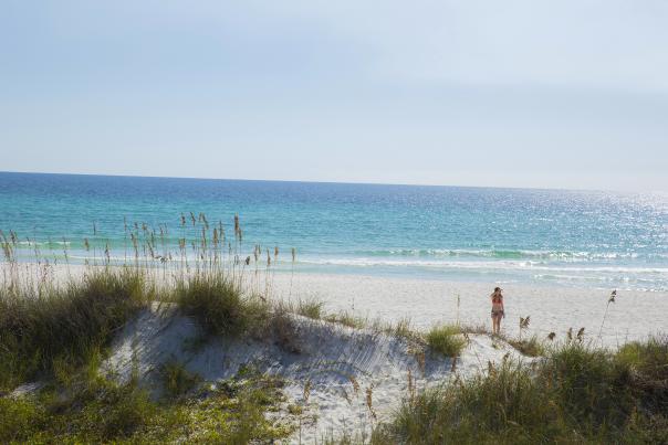 Scenic Beach West End