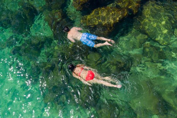 Snorkeling