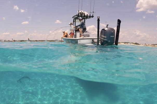 Fishing Charters