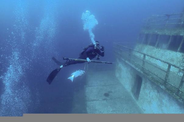 Diver at Deep Stim III with fish