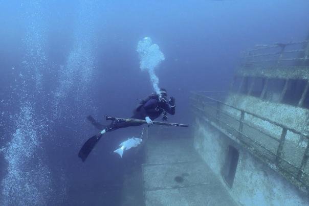 Diving w fish