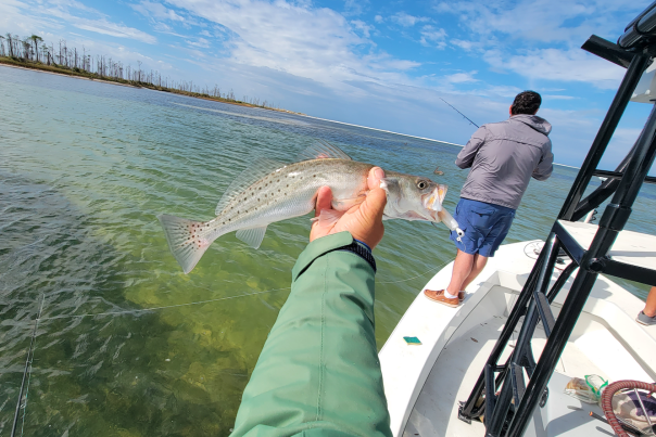 Chasin the sun November fishing report