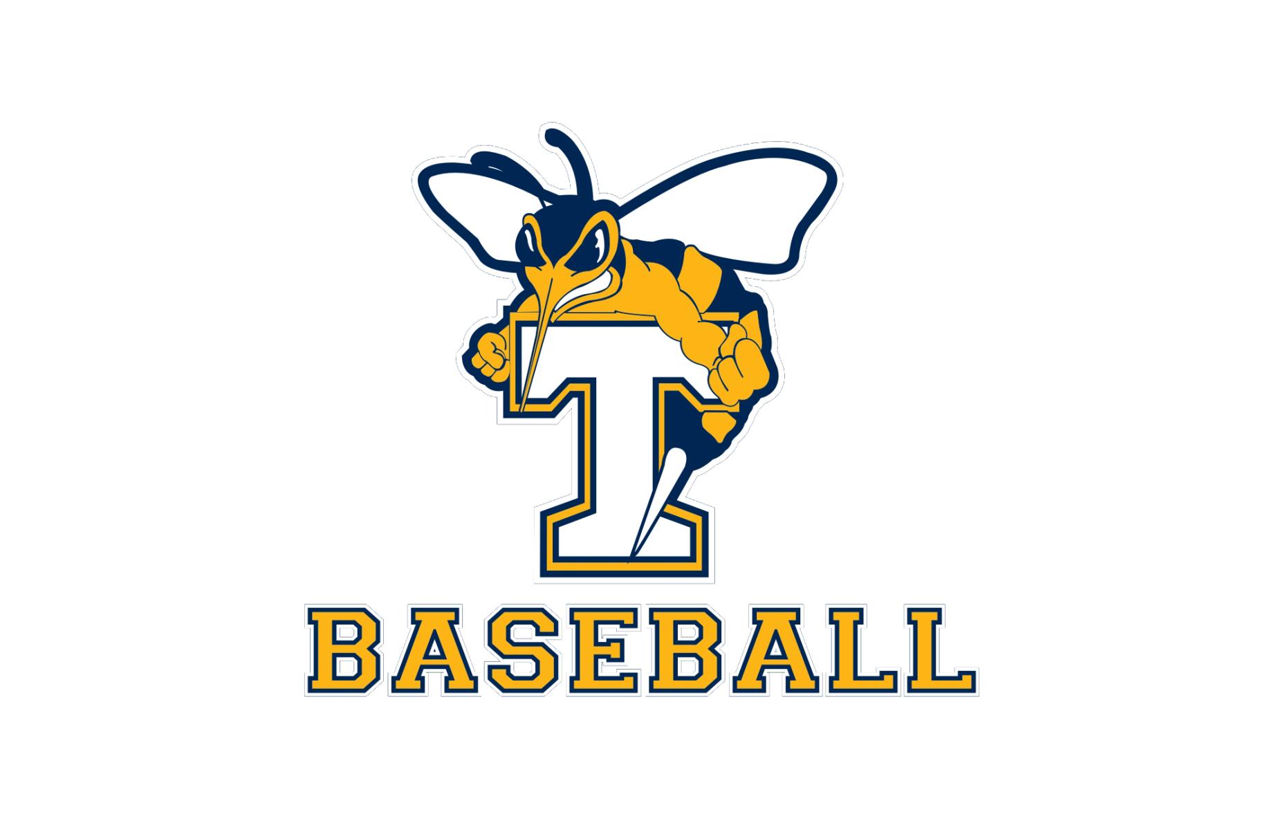 t baseball