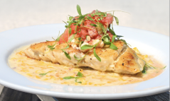 Snapper dish