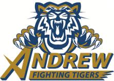 fighting tigers