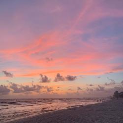 Pink skies