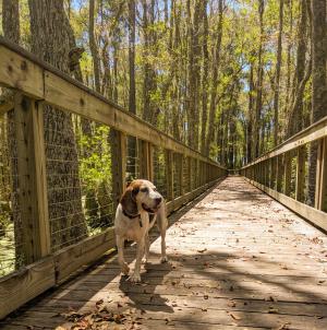 Conservation Park