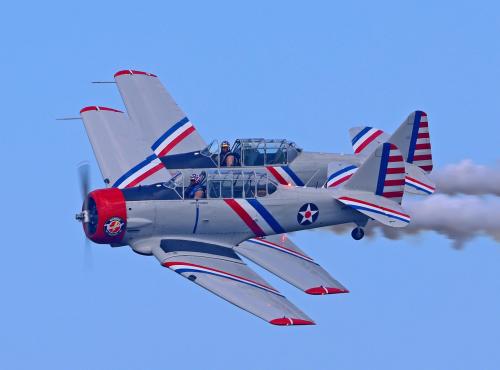 Warbird Thunder