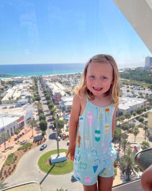 SkyWheel