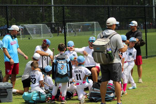 BASEBALL MICROSITE