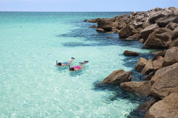 Snorkeling
