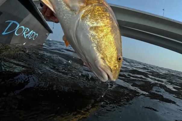 CTS November Fishing Report
