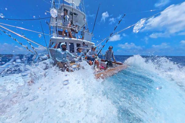 Marlin Fight