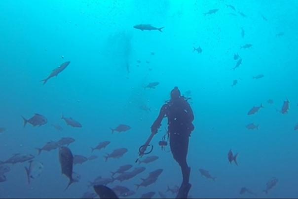 Experience scuba in PCB