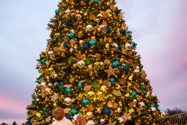 Two kids standing in front of a Christmas tree at Aaron Bessant Park.