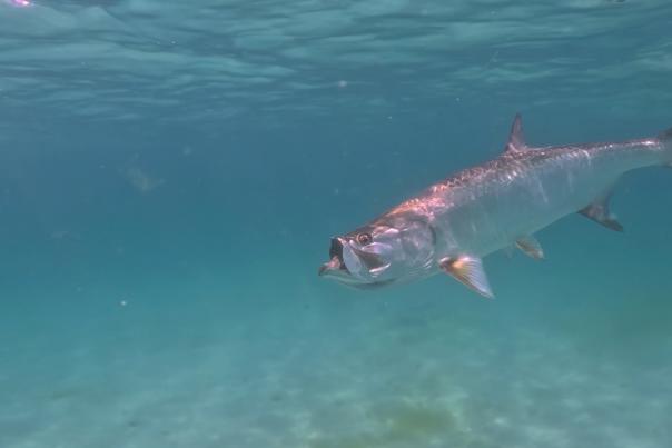 June Fishing Report 2024