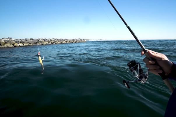 Chasin' The Sun Fishing Report January 2023