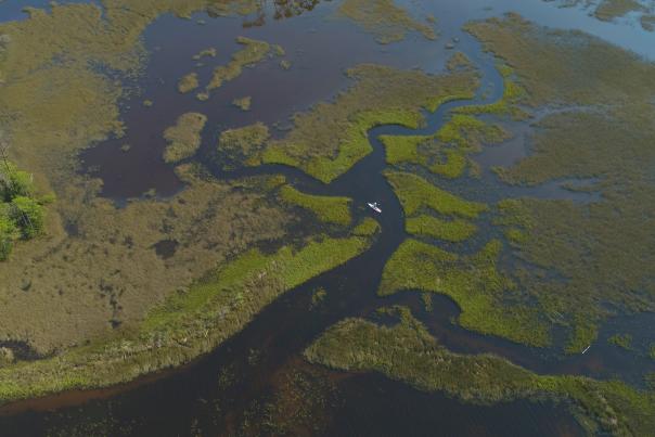 January Fishing Report 2021