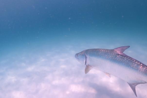 Fishing Report July 2023