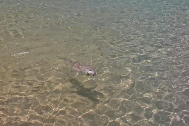 September 2023 Fishing Report
