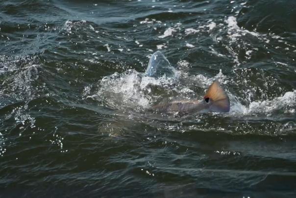 March 2023 Fishing Report