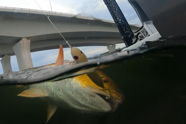 May 2023 Fishing Report