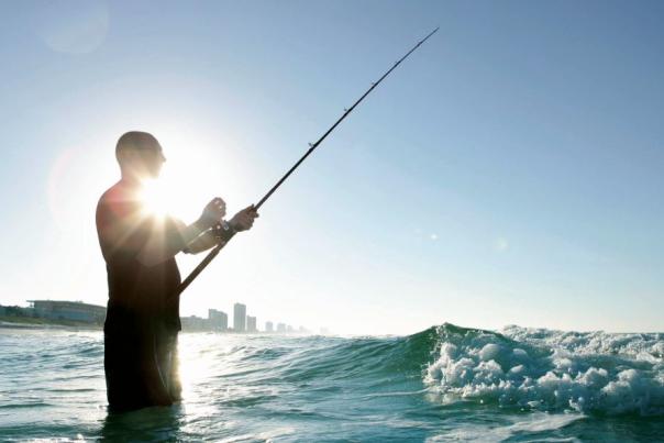 Fishing for Tuna Dip