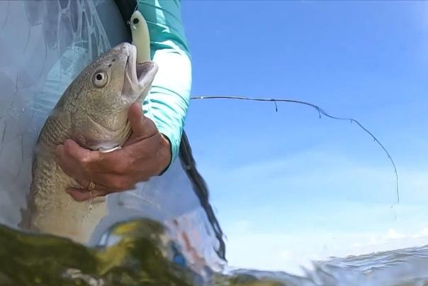 Fishing report dec 22