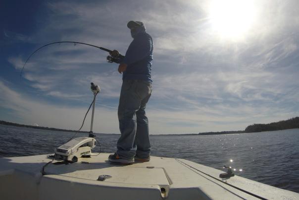 Bay Fishing