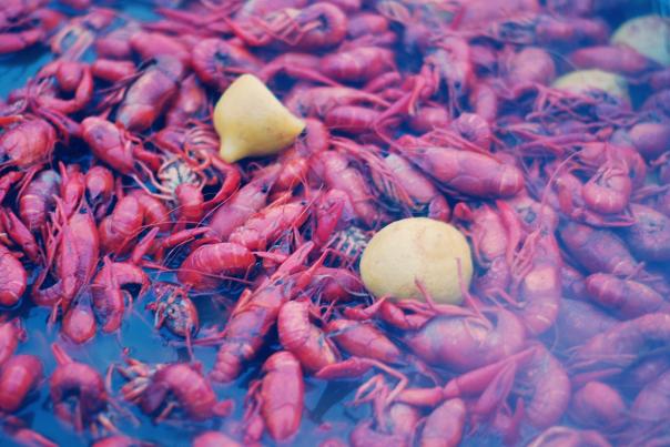 cajun
