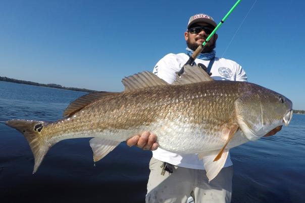 Winter Redfish