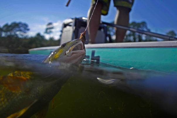 Redfish Paddleboard - Chasin' the Sun