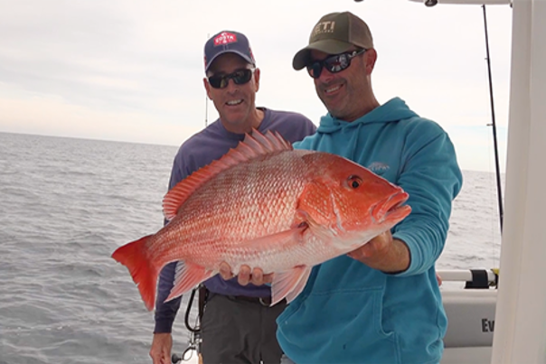 Red Snapper