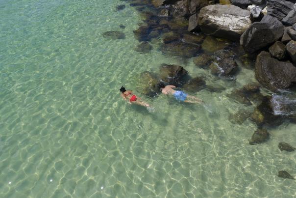 Snorkel couple