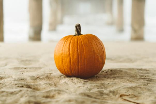 fall pumpkin