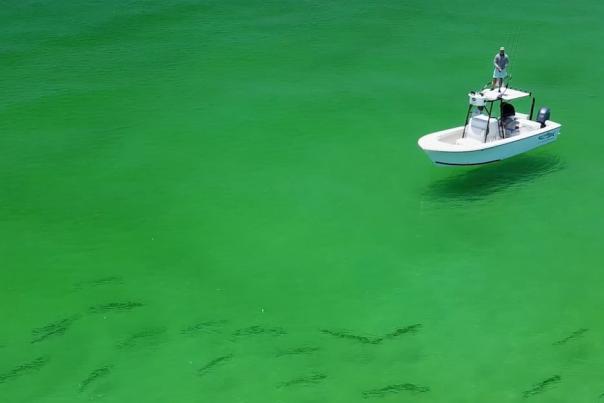 Man fishing on top of boat in Panama City Beach