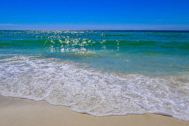 Beach header