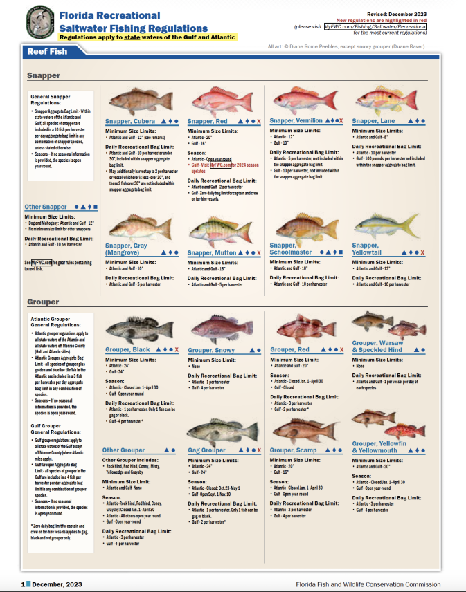 FWCvSaltwater Fishing Regulations 2024