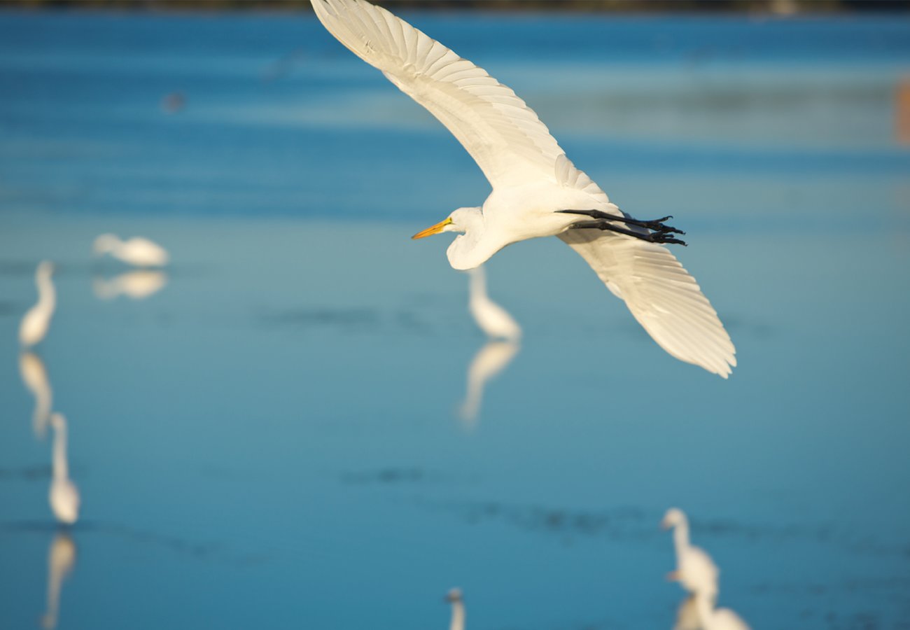 Northwest Florida Homes for Sale near Panama City Beach