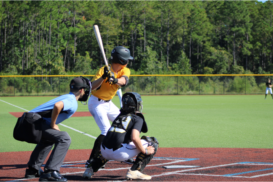 Baseball - Prospectwire