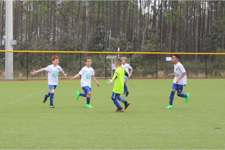 Soccer 2024 - Kings Hammer Defender's Cup