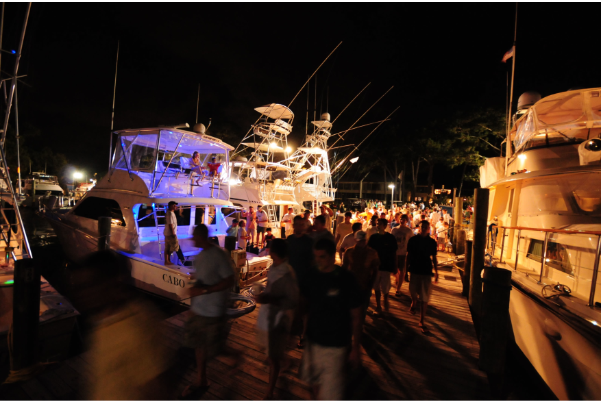 Billfish Tournament
