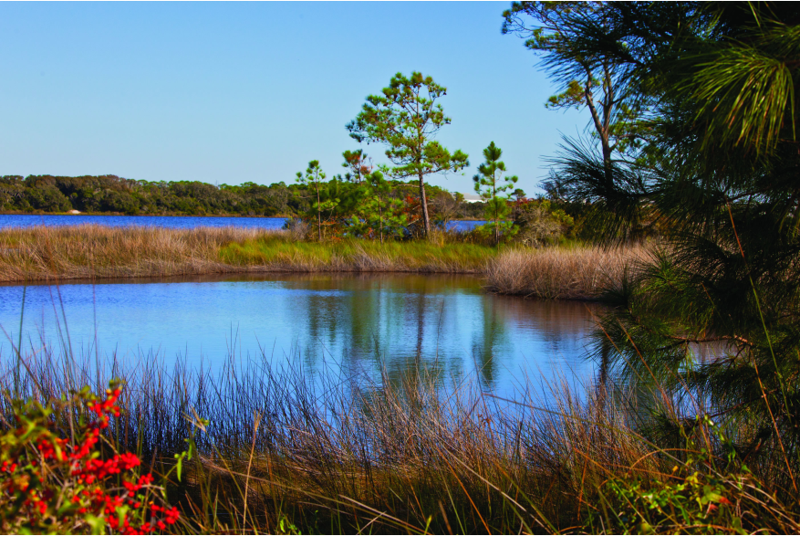 Camp Helen State Park