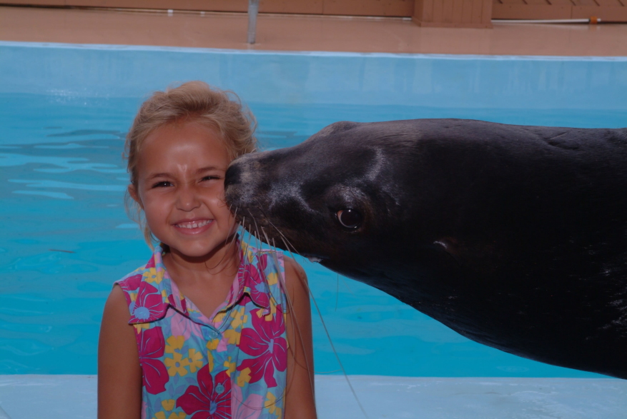 Gulf World Marine Park