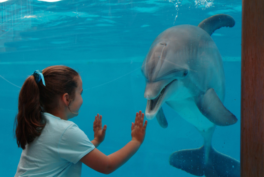 Gulf World Marine Park