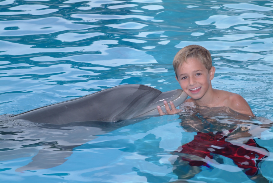Gulf World Marine Park