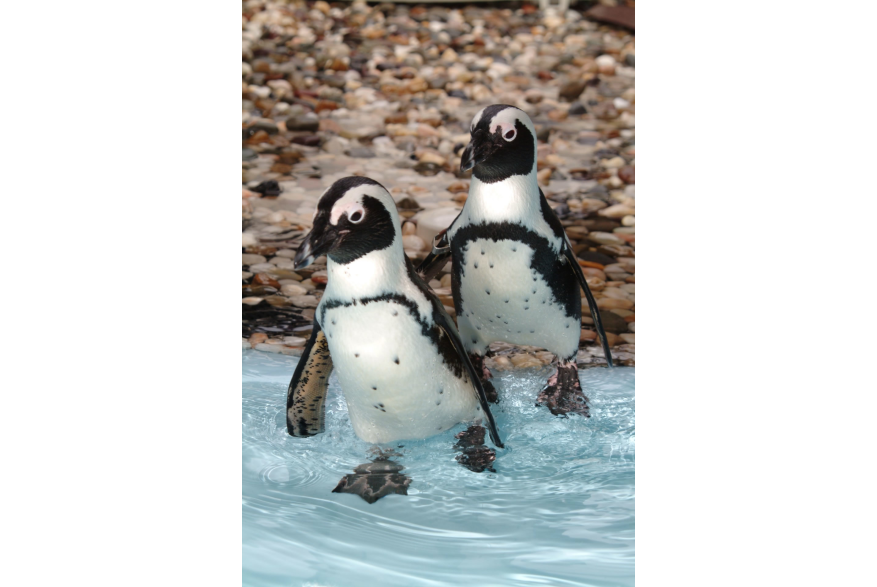 Gulf World Marine Park