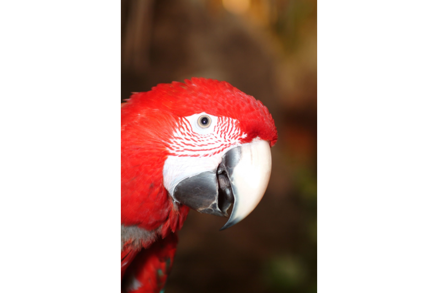 Gulf World Marine Park