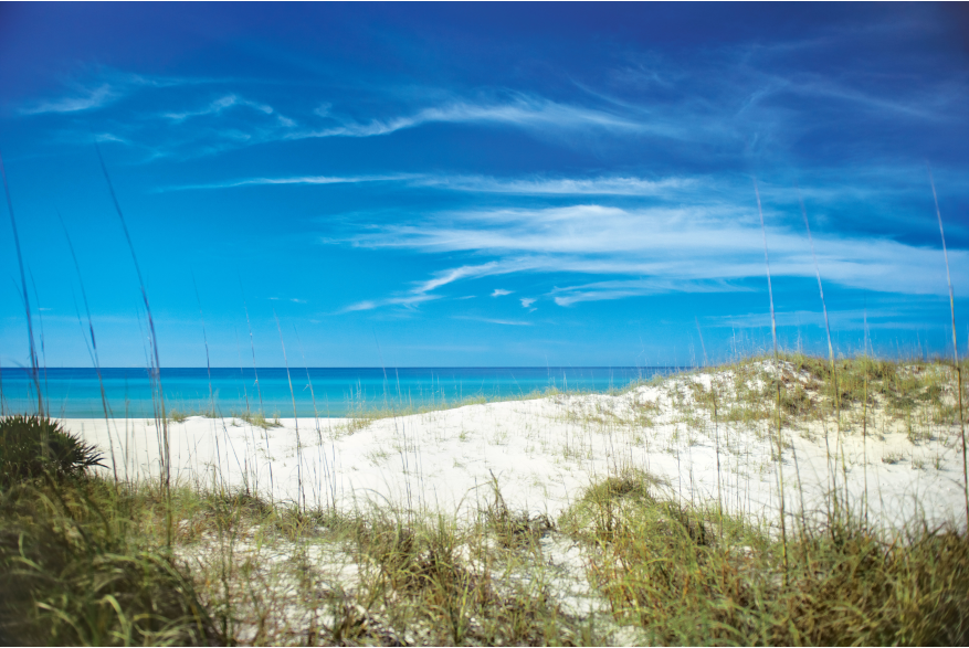 Shell Island