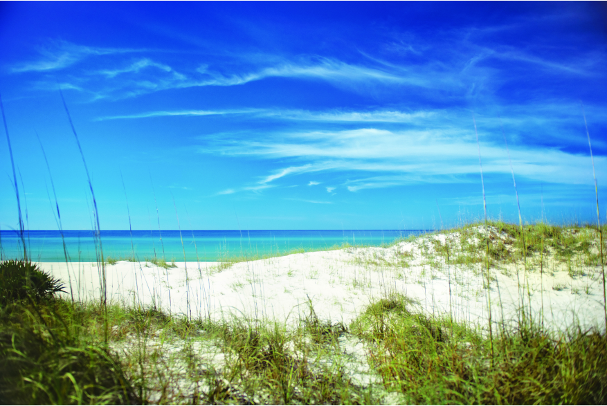 Shell Island